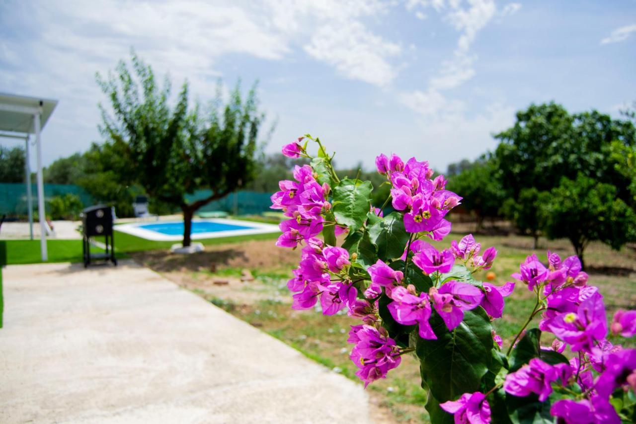 La Casa Del Carreron Villa Montilla Luaran gambar
